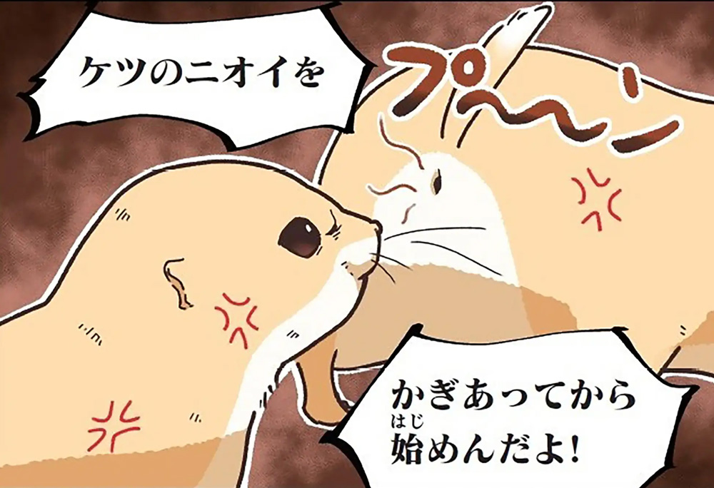 学習マンガ・理科　ウサウサ！　生きものレポート